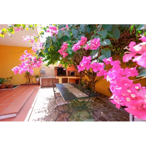 Il Piccolo Giardino rooms & breakfast