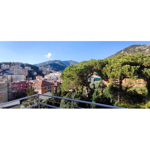 Il Pino