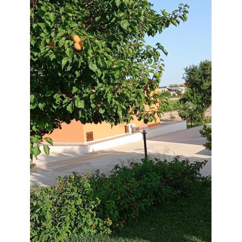 Il Poggetto Marzamemi - Le Villette