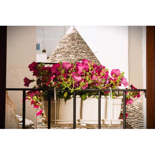 Il Trullo Moore Alberobello