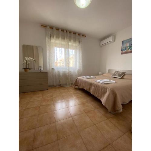 IL TULIPANO