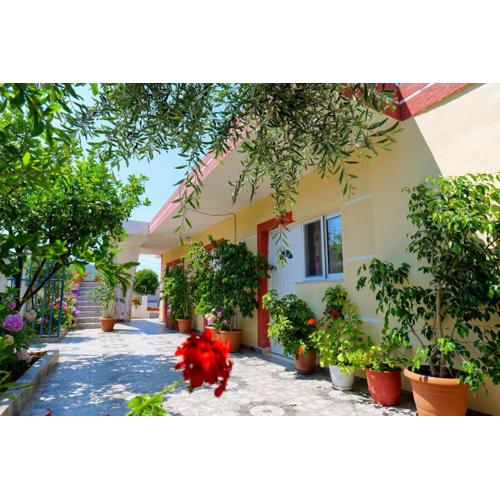 Ilias House