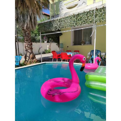 Ilirida-Swimming pool & garden view rooms for rent