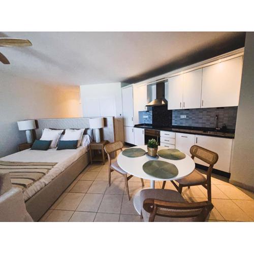 Increíble Estudio en Puerto de Cabopino