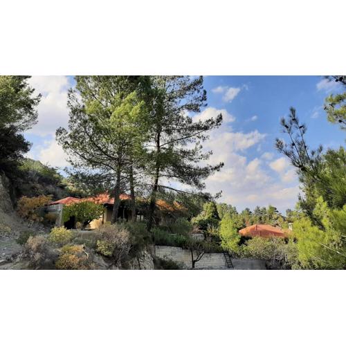 IRENE cottage