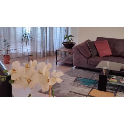 Isabella Modern flat City Center Nicosia