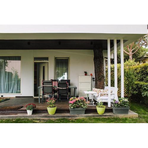 Ivy Lalzi Bay Beach House