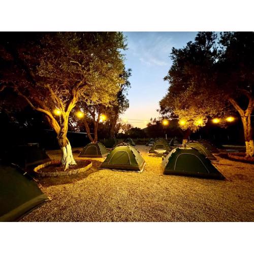 Ivy Sol Camping