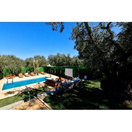 İZNİK Lake Olive villa