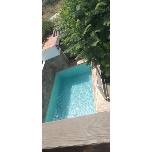 Jacaranda