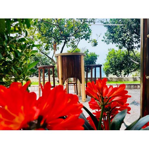 Jico Travel - Studio Villa Jico