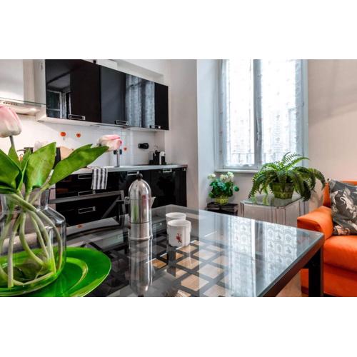 JOIVY Vibrant Suite 8