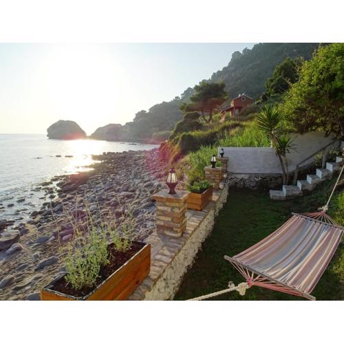 Josef and Marina House