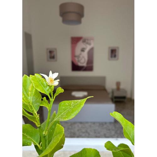 Josky Apartment
