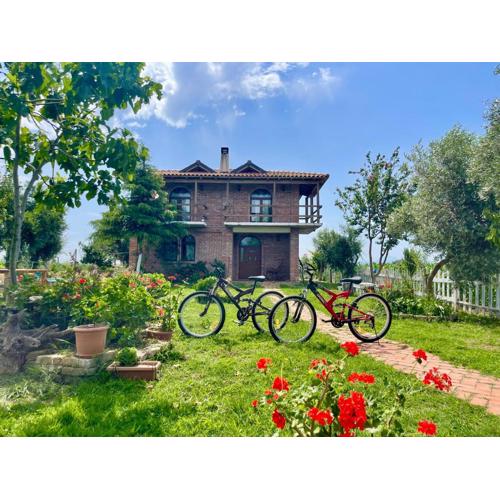 Juniperus Village House
