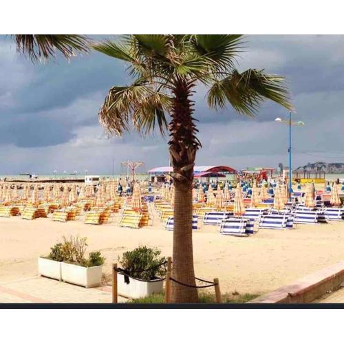Jurxhen Durress Apartment 1 minute walking from sea