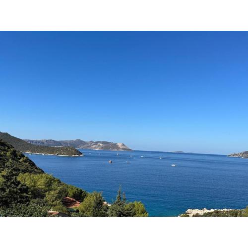 Kaktus Suites