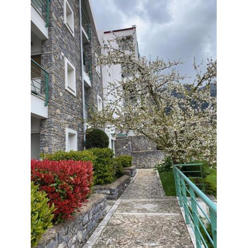 Kalavrita Luxurious Apartments