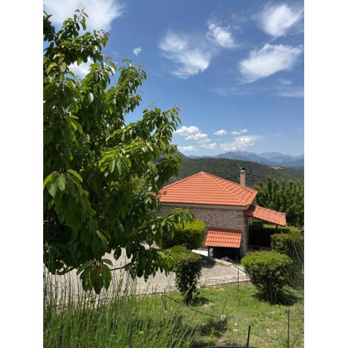 Kalavryta Villa Nano βίλα στο βουνό με τζάκι κοντά στο χιονοδρομικό