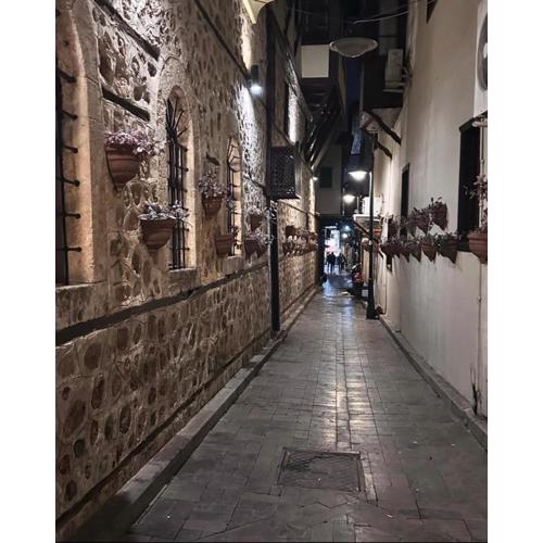 kaleiçi muhteşem ayrı mutfaklı uygun fiyat EV