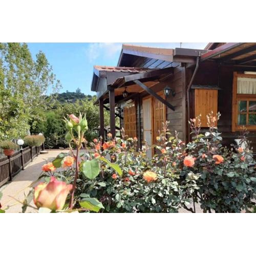 Kapilio Cottage House