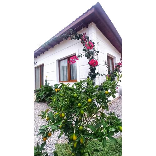 Kavurlukoz Butik Apart