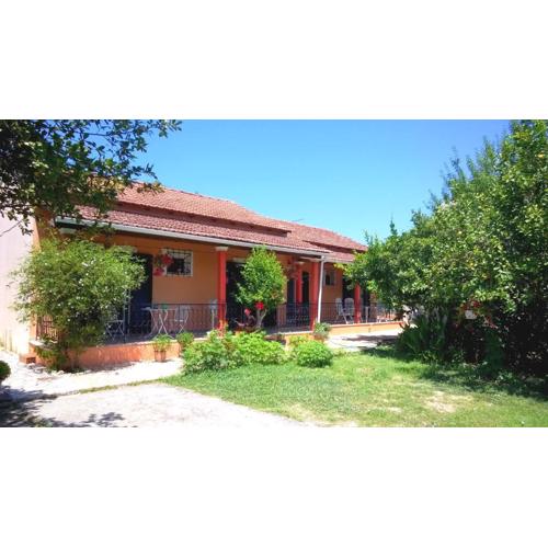 KIKI House
