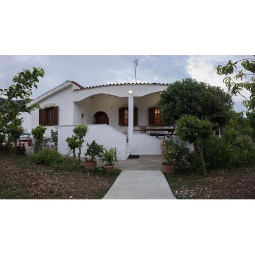 Kolymbia home