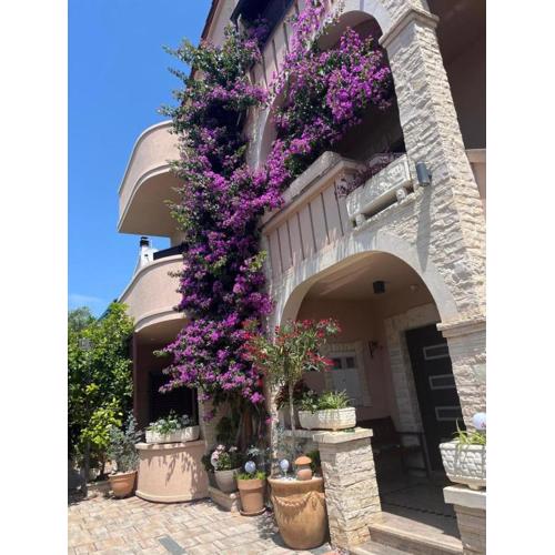Komfortable Appartements in Vodice