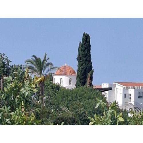 Konia Green View
