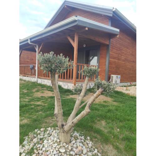 Koruwoodenhouse Alanya Gazipaşa