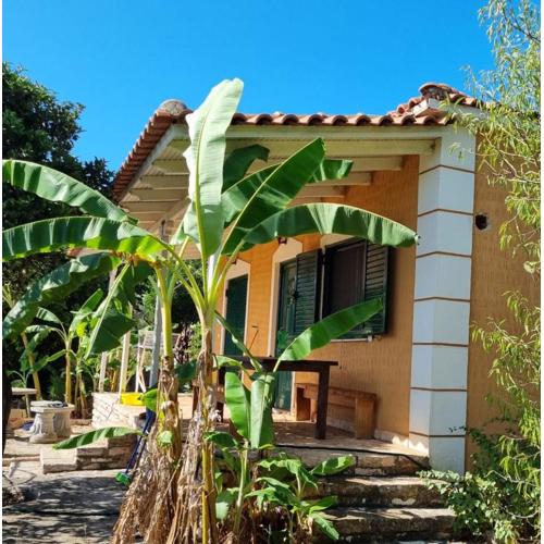 Kuqa Rent House