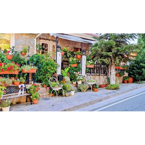 Kyperounta Troodos mountain house