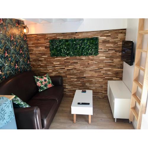 La cabane urbaine et son jardin