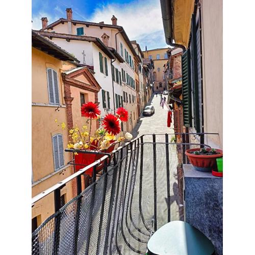 La Campanina-nel cuore di Siena e della contrada