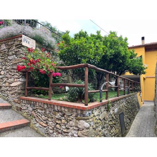 La cantina di Peo