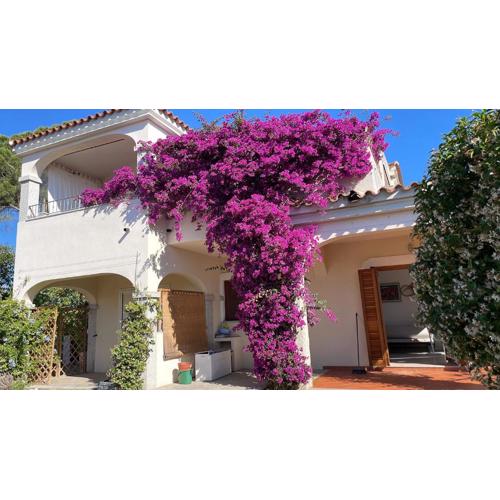 La casa dei Tati