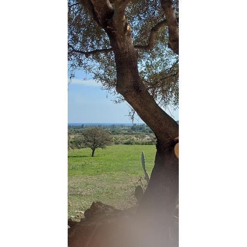 La casa di Eve