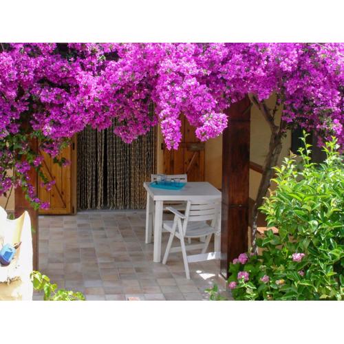La Casa di Giacomo e Graziella Villaggio Tamerici