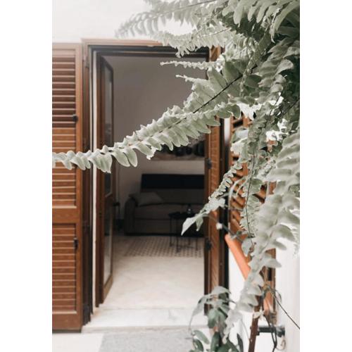 La Casa Di Maya