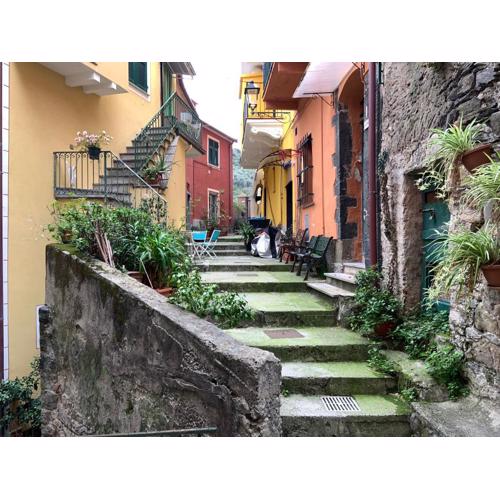 La casa di nonno Frey