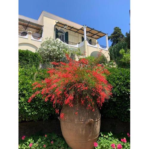 La Casa di Paola
