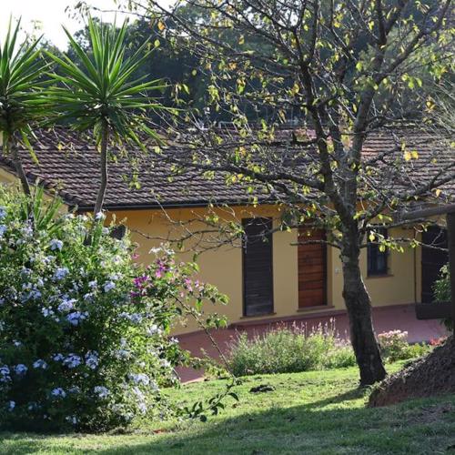 La Casa Gialla