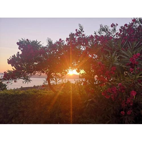 La casa sul tramonto - Capoliveri - services included