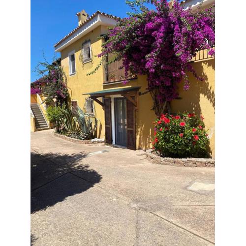 La Casa tartaruga Mia