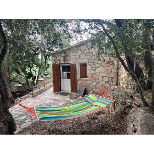La casa tra gli alberi e il cottage