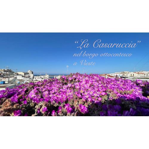 La Casaruccia