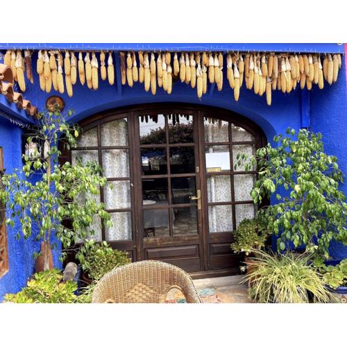 La Casita Azul, L\