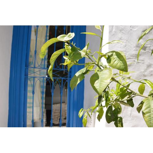 La Chambre Verte