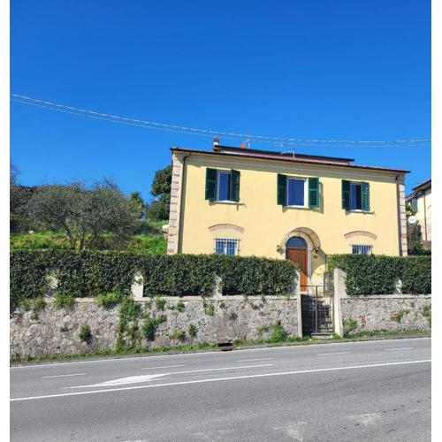 la ciragialla